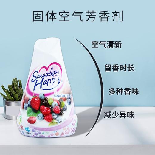 小林制药 固体芳香剂消臭香氛家用空气清新剂 120g/瓶 商品图4