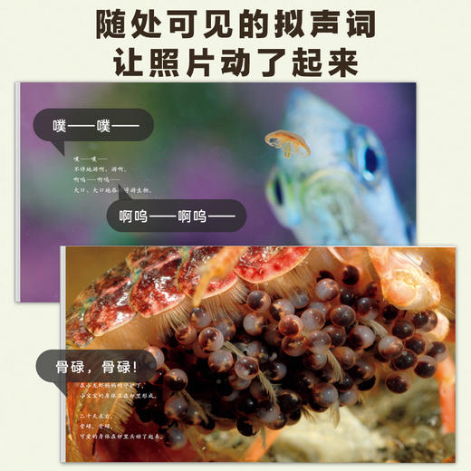 【3-10岁】生命的故事系列 商品图4