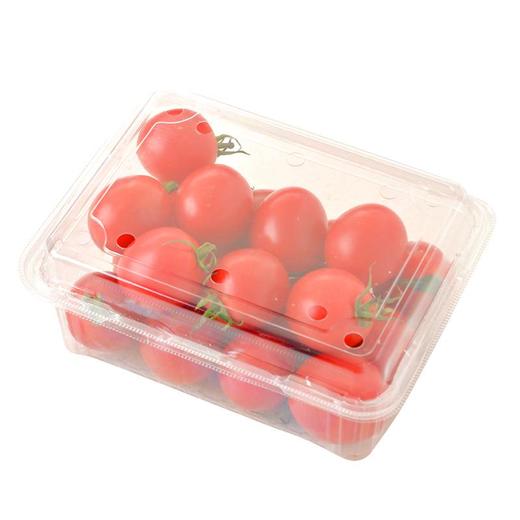 红妃车厘茄 小番茄 约500g/盒 商品图4