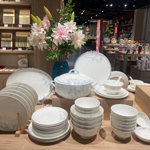 【清仓特惠4.5折，仅1套，无货退款】凡瑞斯春意缤纷50头10人用骨瓷餐具【不支持补差，非质量问题不退不换】 商品图4