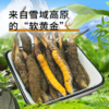 【现挖西藏鲜虫草】季节限定福利 补充满满能量（收到货后请尽快冷冻保存哦~） 商品缩略图2