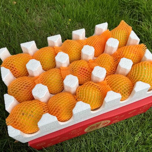 【下架】【助农】山水龙城精选套袋黄桃含箱重5斤（重量已足非满格） 商品图4