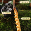 【现挖西藏鲜虫草】季节限定福利 补充满满能量（收到货后请尽快冷冻保存哦~） 商品缩略图3