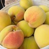【下架】【助农】山水龙城精选套袋黄桃含箱重5斤（重量已足非满格） 商品缩略图3
