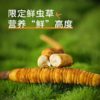 【现挖西藏鲜虫草】季节限定福利 补充满满能量（收到货后请尽快冷冻保存哦~） 商品缩略图1