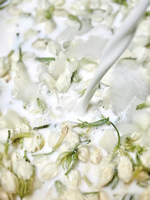 茉莉蜜瓜（绿/黄） 商品图8