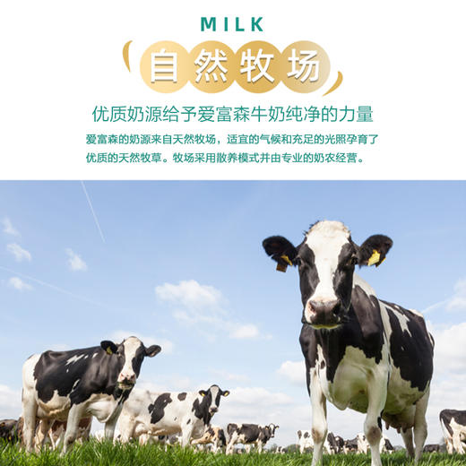 德国进口爱富森全脂I脱脂牛奶1L/瓶 商品图3