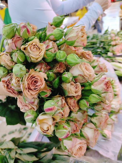 多头卡布奇诺玫瑰5支 商品图1