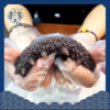 【分销】东仁堂即食海参/鲜食海参，远离大陆的底播海参，自然生长，肉质肥厚， 商品缩略图0