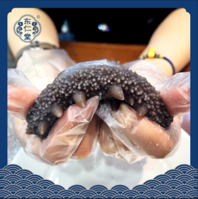【分销】东仁堂即食海参/鲜食海参，远离大陆的底播海参，自然生长，肉质肥厚，