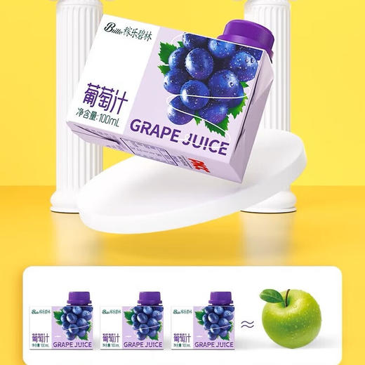 碧林葡萄果汁饮料100ml (Z) 商品图3