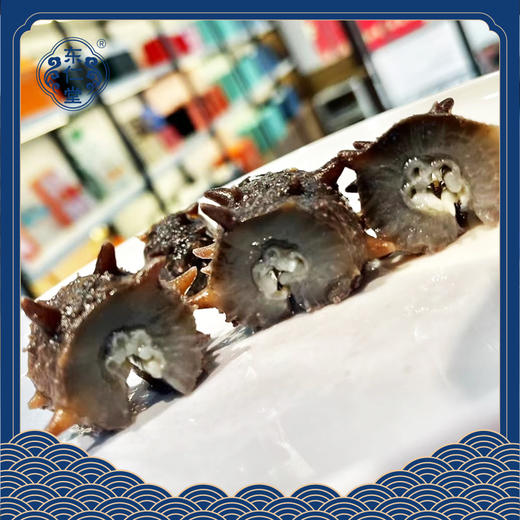 【分销】东仁堂即食海参/鲜食海参，远离大陆的底播海参，自然生长，肉质肥厚， 商品图1