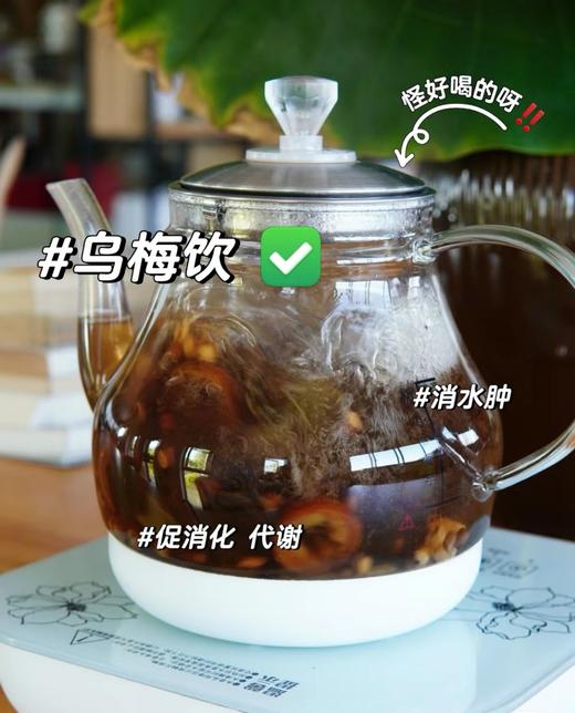 浙江中院同款“乌梅饮 3.0 plus版 商品图2