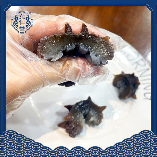 【分销】东仁堂即食海参/鲜食海参，远离大陆的底播海参，自然生长，肉质肥厚， 商品图7