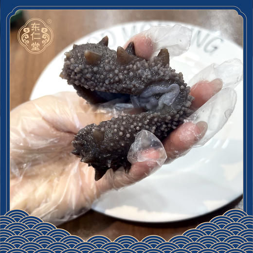 【分销】东仁堂即食海参/鲜食海参，远离大陆的底播海参，自然生长，肉质肥厚， 商品图4