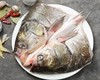 花鲢鱼头（约2-2.4斤/个） 商品缩略图1