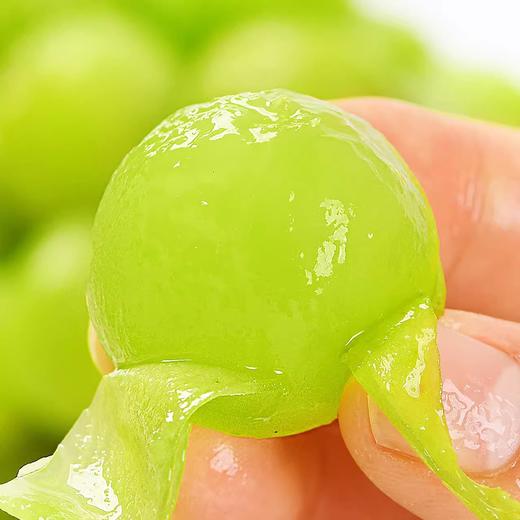 【脆嫩多汁】阳光玫瑰葡萄 500g /份 商品图1