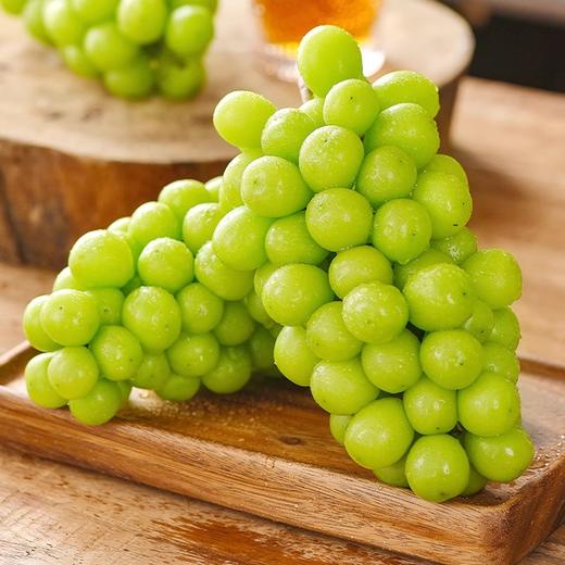 【脆嫩多汁】阳光玫瑰葡萄 500g /份 商品图0