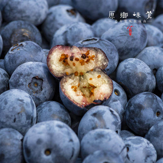 有机蓝莓【基地直发-顺丰包邮】|1kg/件（125g*8盒） 来自江苏南京，生产者：周永平【合作生产，公平贸易】 商品图3