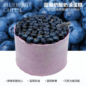 蓝莓多多 · 奶酪奶油蛋糕