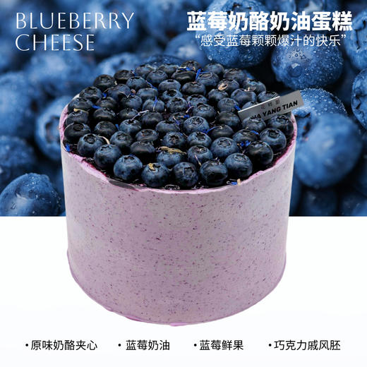 蓝莓多多 · 奶酪奶油蛋糕 商品图0