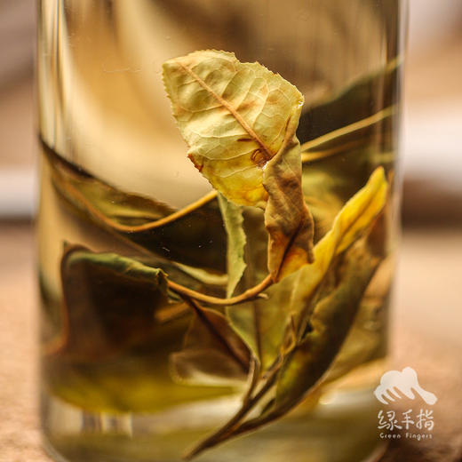 生态古树白茶 | 合作生产 * Eco-White tea | Coproduction 商品图1