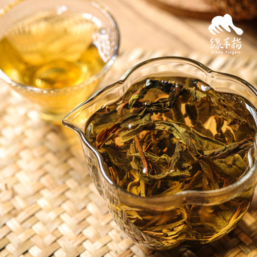 生态古树生普茶饼| 合作生产 * Eco-Sampu tea | Coproduction 商品图4