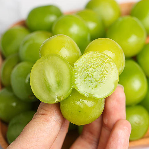 【云南阳光玫瑰】EMS空运 云南高原 阳光玫瑰葡萄 脆甜无籽 香甜多汁 皮薄肉厚 一口爆汁 多种规格任选 商品图4