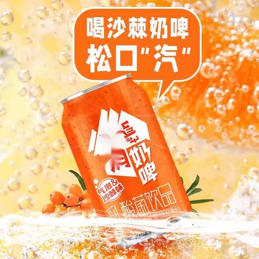 天润奶啤 12罐*300ml 蓝罐原味/沙棘橙罐双拼口味 新疆特产全国发货 商品图3