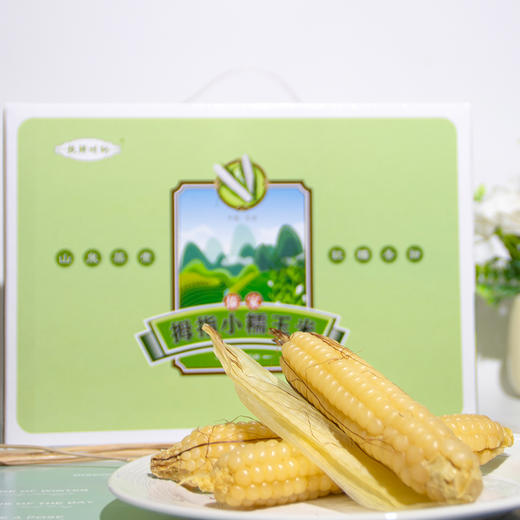 西双版纳傣家拇指糯玉米 商品图4