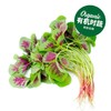 有机红苋菜  Organic Red Amaranth 200g 商品缩略图0