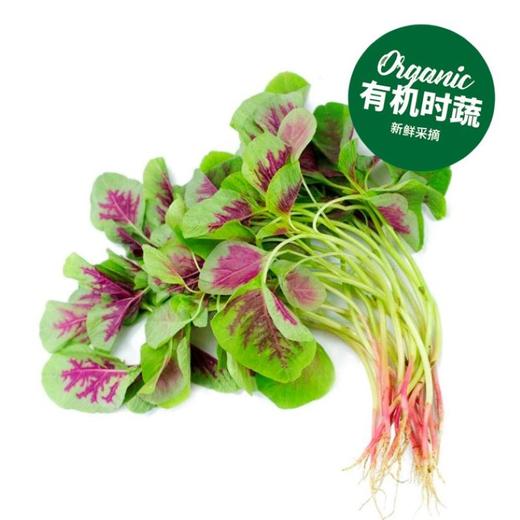 有机红苋菜  Organic Red Amaranth 200g 商品图0