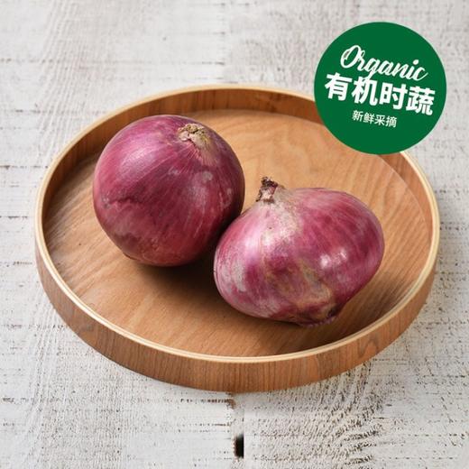 有机红洋葱 Organic Red Onion 400g 商品图0