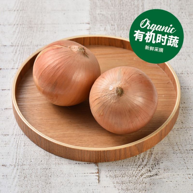 有机黄洋葱 Organic Yellow Onion 400-450g