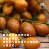 生态黄皮 | 绿家自产 *Eco-wampe | In-House Production 商品缩略图1