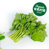 有机白苋菜 Organic White Amaranth 200g 商品缩略图0