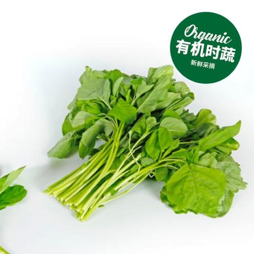 有机白苋菜 Organic White Amaranth 200g 商品图0