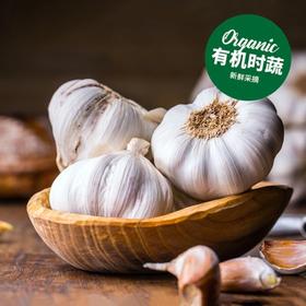 有机蒜头 Organic Garlic 250g/袋