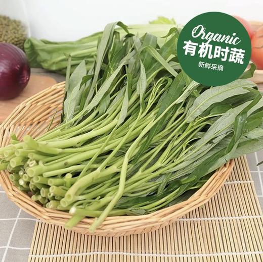 有机空心菜  Organic Water Spinach 200g/袋 商品图0