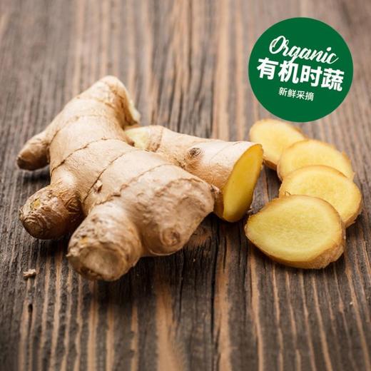有机姜 Organic Ginger 250g 商品图0