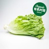 有机四季生菜 Organic Lettuce 200g/袋 商品缩略图0
