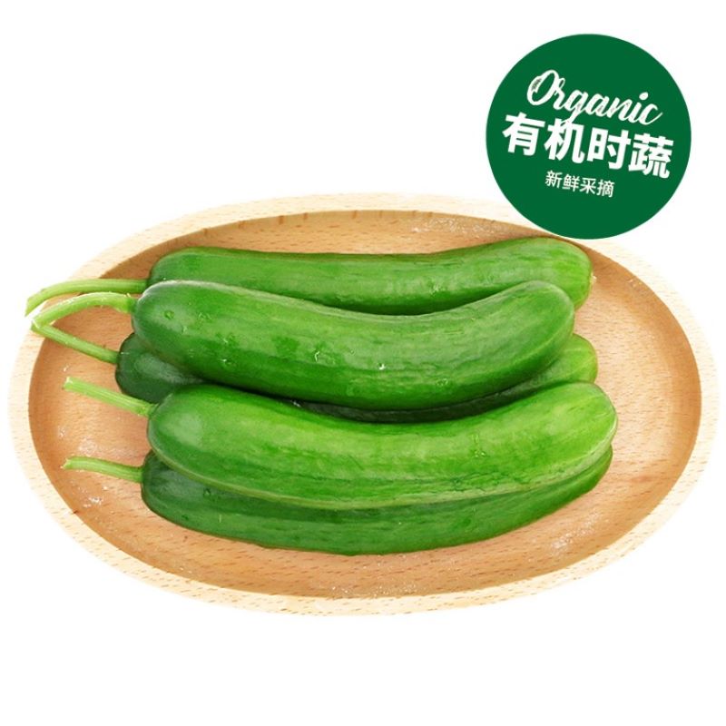 有机水果黄瓜 Organic Fruit Cucumber 400g/盒