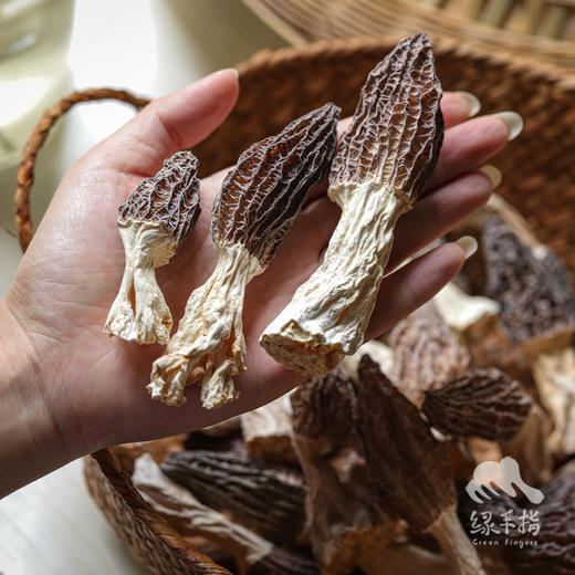 生态羊肚菌干 | 合作生产*  Ecological morel Dried | Coproduction 商品图3
