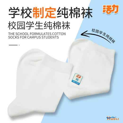 深圳中小学生白色运动袜纯棉薄厚袜 商品图2