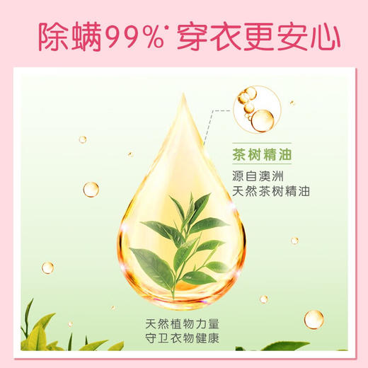立白香维娅洗衣凝珠(玫瑰白桃香) 520克(52颗) 1-2盒装 商品图6