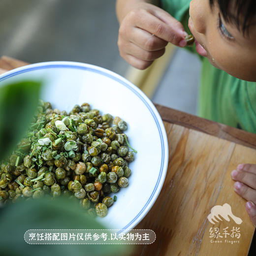 生态豌豆干（临期6折）  | 绿家自产 * Ecological dried pea| Self-production 商品图5