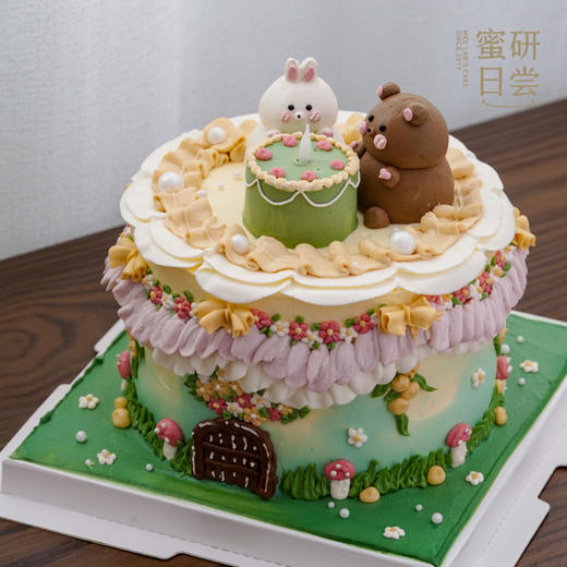 P004“绿野仙踪”蛋糕 商品图2