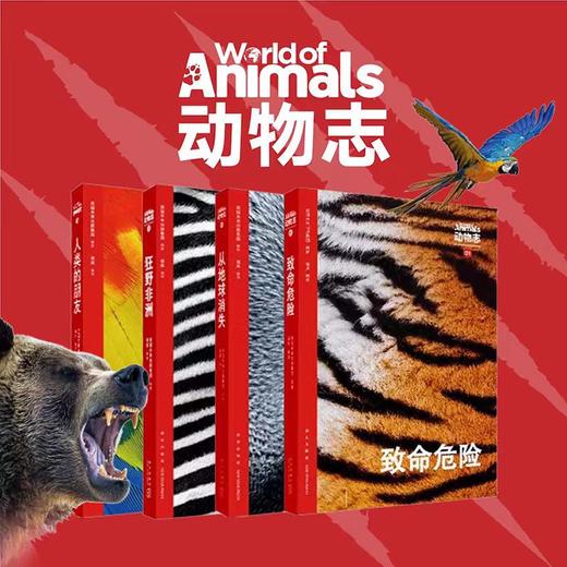 动物志·第一辑《致命危险》《从地球消失》《狂野非洲》《人类的朋友》带你走近有灵且美的动物世界 读库 商品图0