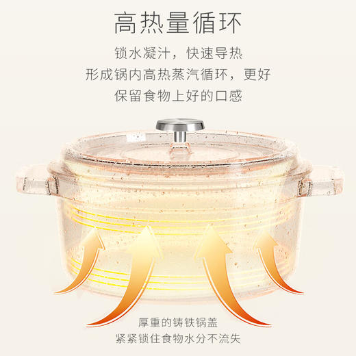 VELOSAN/温仑山 VELOSAN 潘朵拉珐琅锅 24cm 铸铁 锅焖 焗锅 辅食锅 煲汤锅 炖锅 海鲜锅大 商品图3