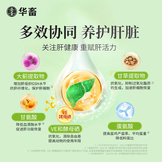 【社群专享】华畜  肝肾通   通肾清肝 为肝减负 商品图3